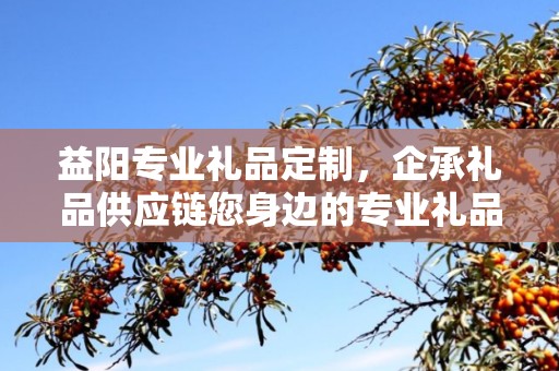 益阳专业礼品定制，企承礼品供应链您身边的专业礼品定制公司